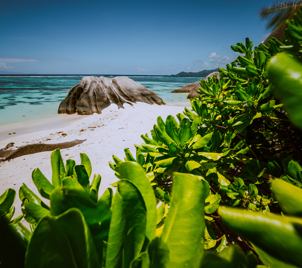 Seychelles